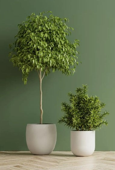 Artificial Plants Collection W&MH Fashion