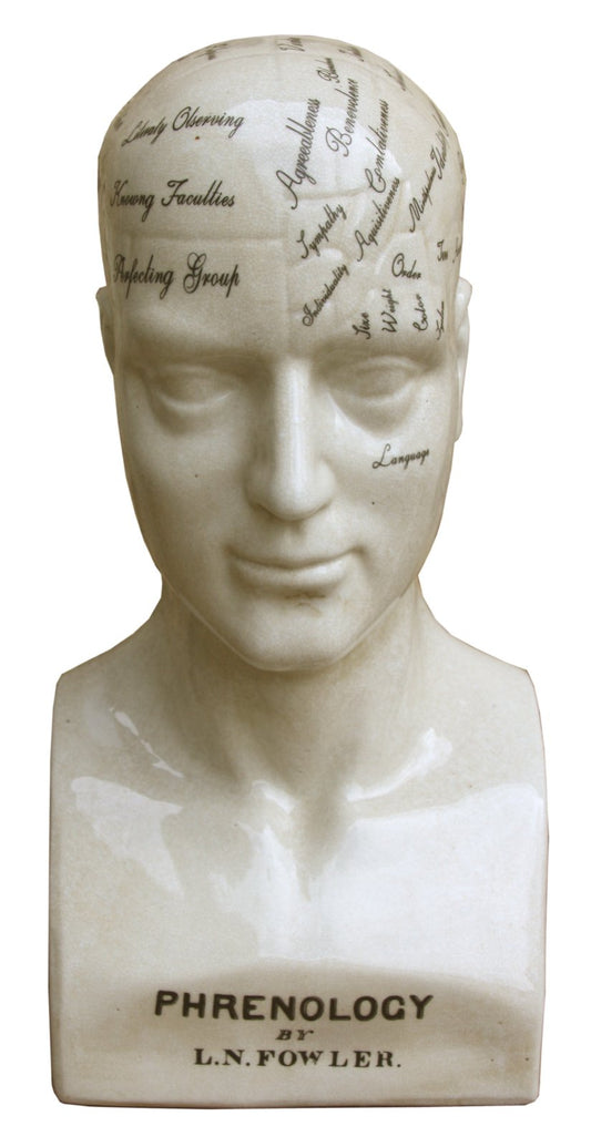 large-ceramic-phrenology-head-42cm