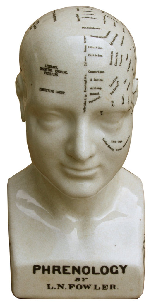 medium-ceramic-phrenology-head-25cm