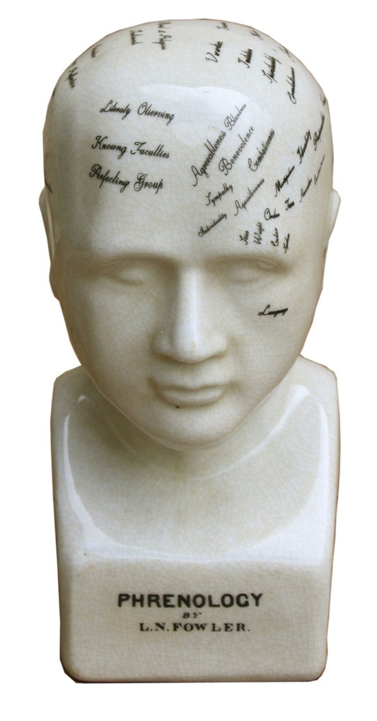 small-ceramic-phrenology-head-19cm