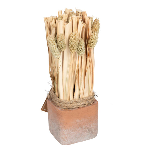 fluffy-dried-grass-bouquet-in-terracotta-pot