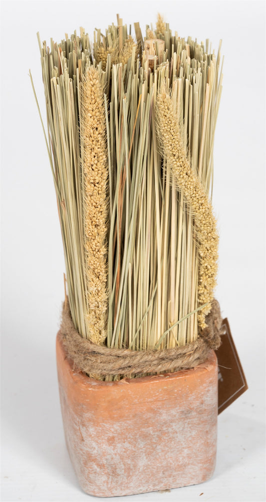 corn-dried-grass-bouquet-in-terracotta-pot