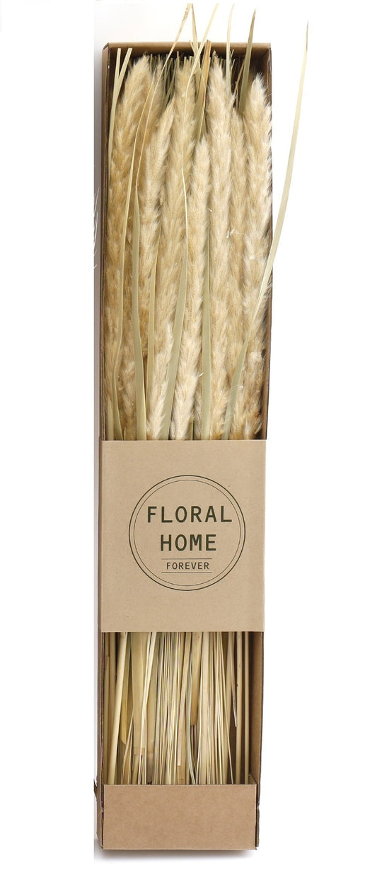 decorative-dried-pampas-grass-60cm