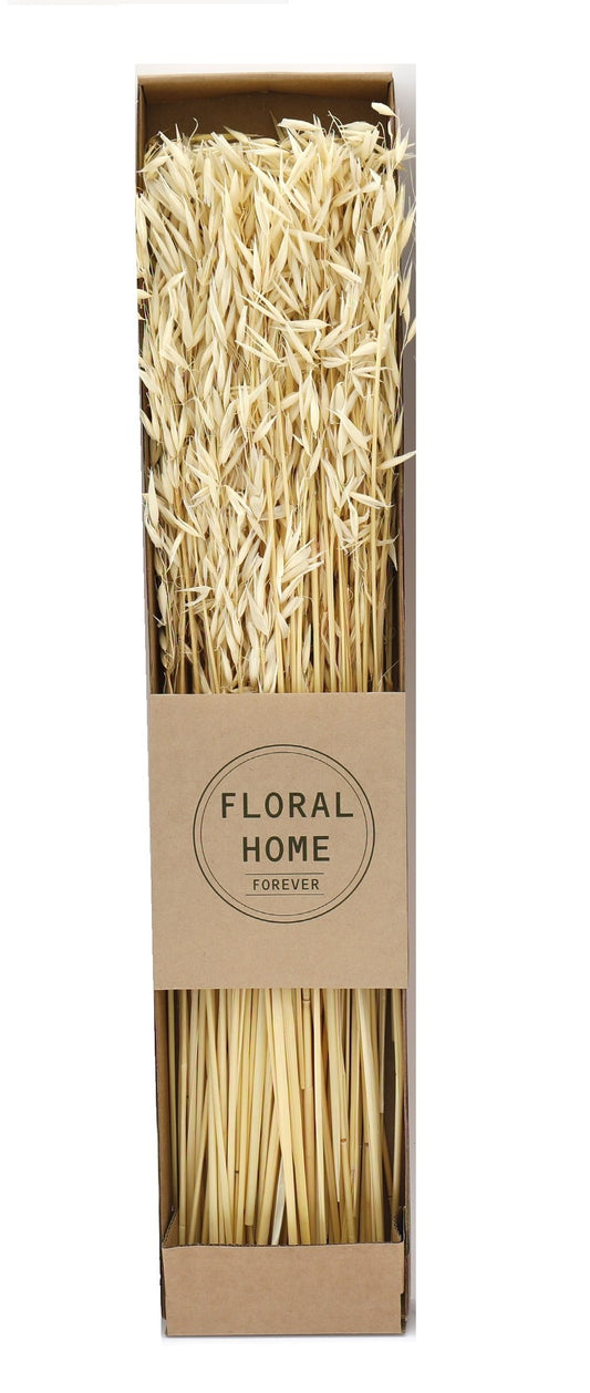 decorative-dried-oats-60cm