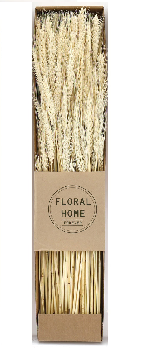 decorative-dried-wheat-60cm