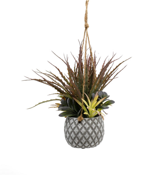 hanging-succulents-in-lattice-design-small-grey-pot