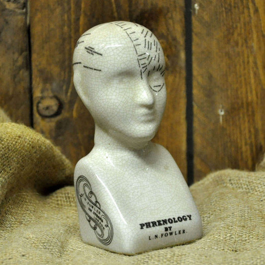 ceramic-phrenology-head-17cm