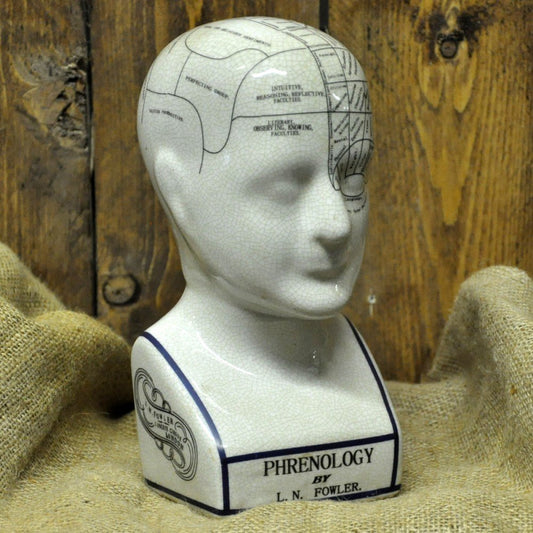 ceramic-phrenology-head-20cm