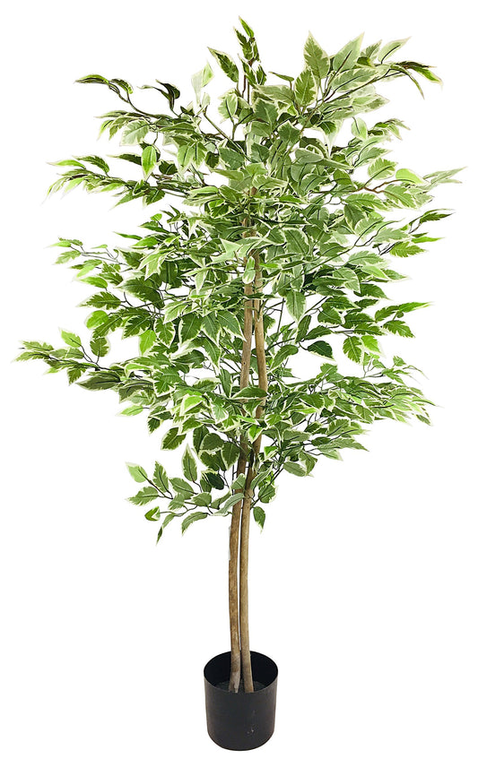 artificial-ficus-tree-with-variegation-leaves-150cm