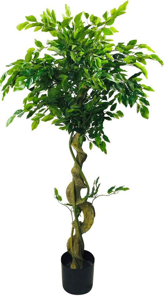 artificial-ficus-tree-with-twisted-trunk-137cm
