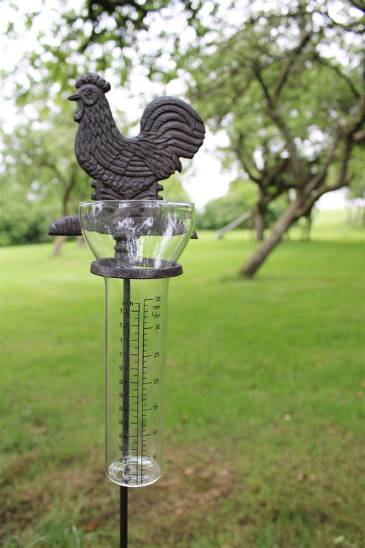 cast-iron-and-glass-garden-rain-gauge-chicken
