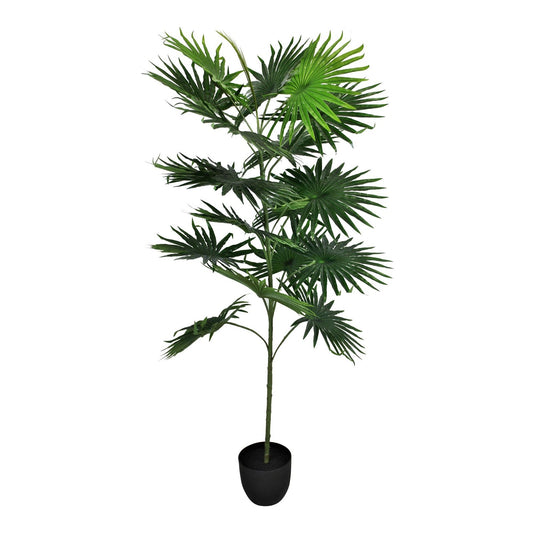 artificial-fan-palm-tree-with-18-leaves-160cm