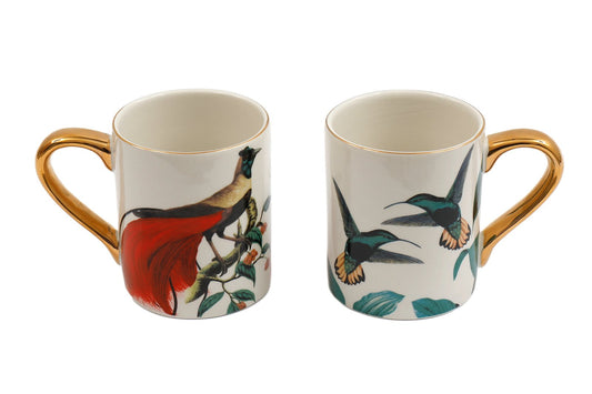 birds-of-paradise-mugs