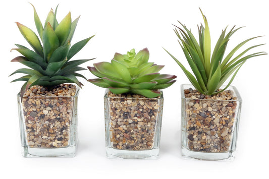 set-of-three-faux-succulents-in-glass-pots