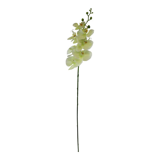 single-orchid-spray-cream-flowers-85cm