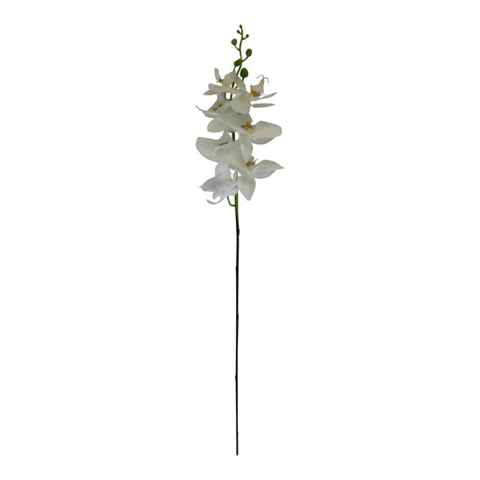 single-orchid-spray-white-flowers-85cm