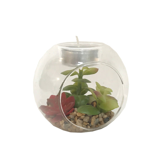 succulent-in-glass-terrarium-with-tealight-holder