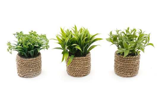 a-set-of-three-rope-effect-pots-and-artificial-succulents