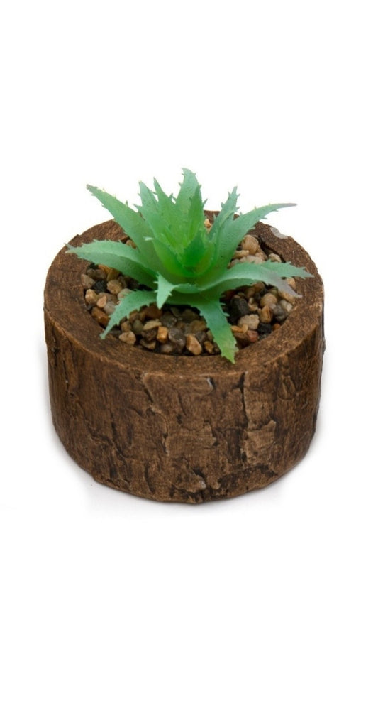 bark-effect-pot-and-succulent