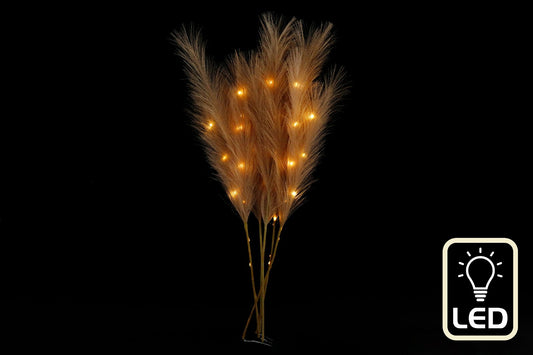 set-of-five-brown-led-pampas-grass-stems